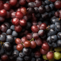 Benefits of grape seed oil for your skin