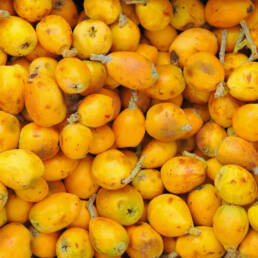 Benefits of marula seed oil for your skin